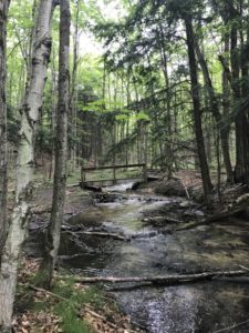 Bridge Jordan River Pathway Michigan Hiking Backpacking