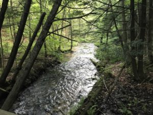 Jordan River Michigan Backpacking Hiking Views